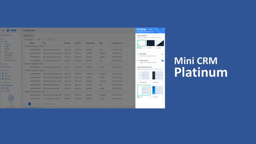 Mini CRM Platinum - ASP.NET Core Razor Pages 9.x