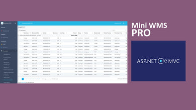 Mini WMS PRO - ASP.NET Core MVC 9.x