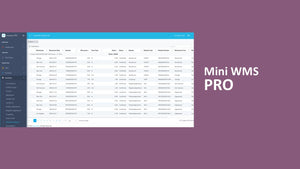 Mini WMS PRO - ASP.NET Core Razor Pages 9.x