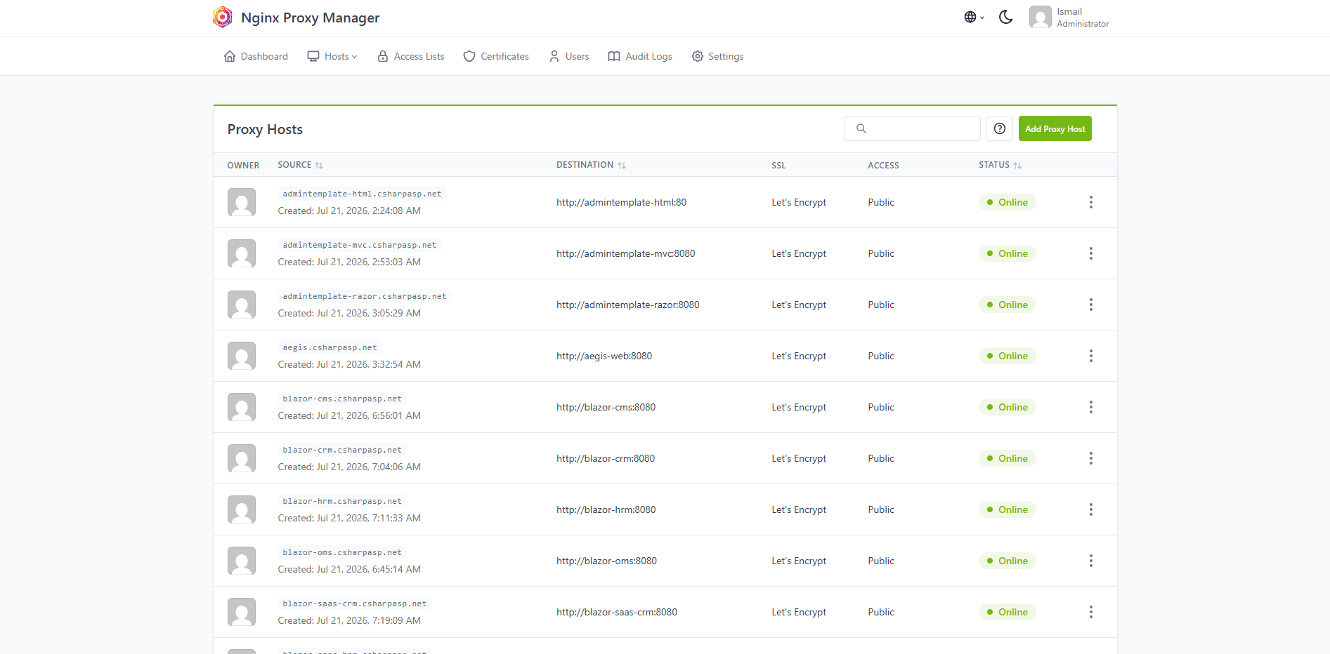 Nginx Proxy Manager real-world
